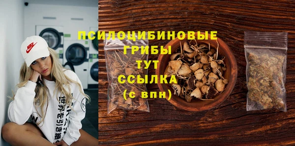 винт Арсеньев