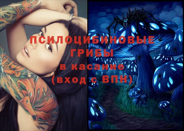 винт Арсеньев