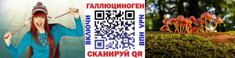 где купить наркоту  Ужур  Галлюциногенные грибы Cubensis 